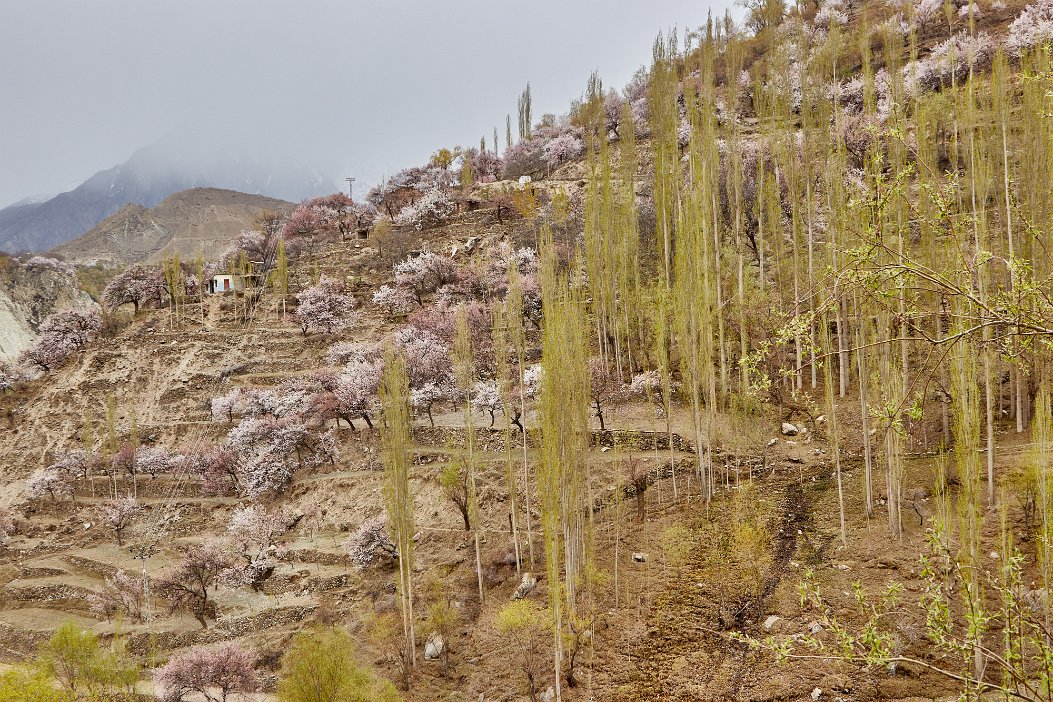 Pakistan 2022_0309