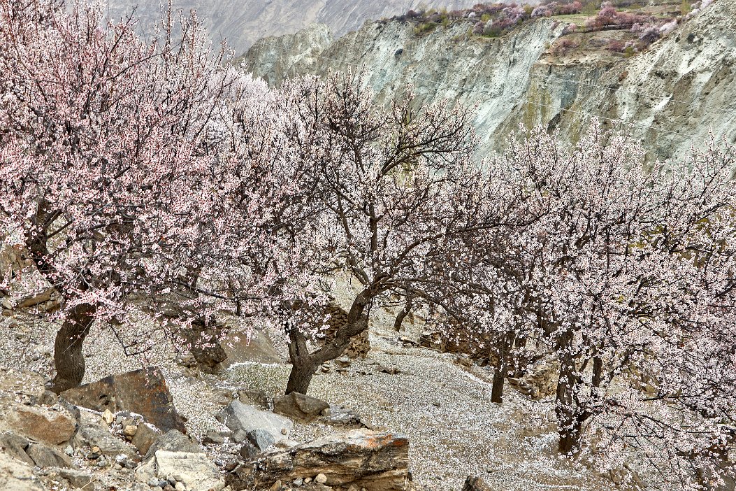 Pakistan 2022_0326